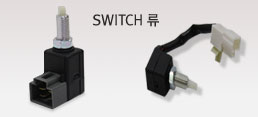 SWITCH 류